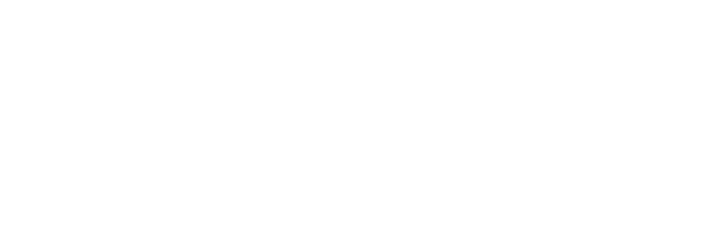 DVDV Logo